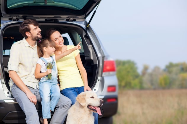 Traveling with pets this holiday season Traveling with pets this holiday season